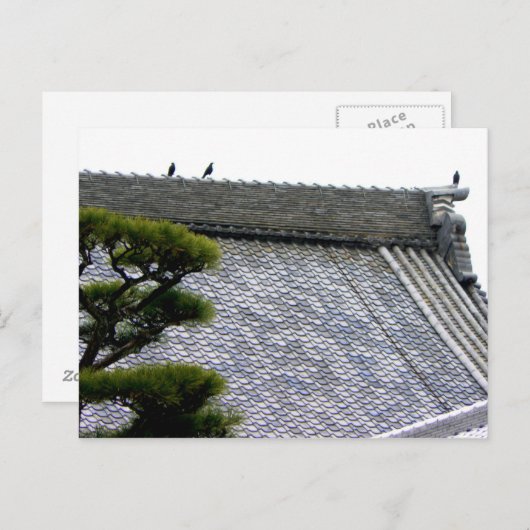 Krähen auf dem Tempeldach Postkarte (Vorne/Hinten)