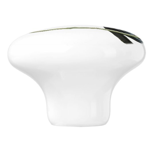 Krähen-Fach-Griff Keramikknauf (Seitenansicht)