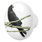 Krähen-Fach-Griff Keramikknauf (Rechts)