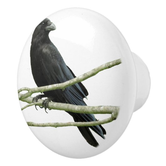 Krähen-Fach-Griff Keramikknauf (Rechts)