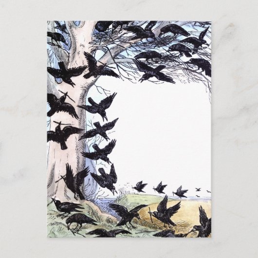 Krähen Feiertagspostkarte (Vorderseite)