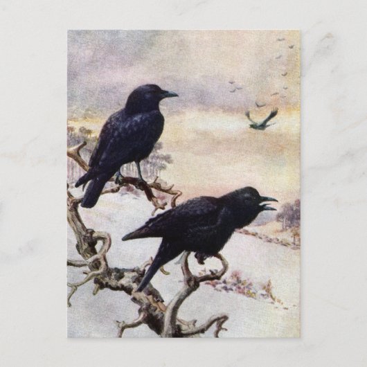 Krähen im Winter Vintage Illustration Postkarte (Vorderseite)