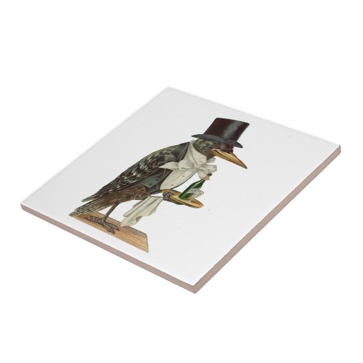 Krähen-Kellner-Fliese Fliese (Seite)