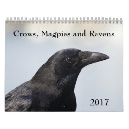 Krähen, Magpies und Ravens 2017 Kalender
