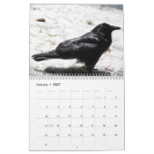 Krähen, Magpies und Ravens 2017 Kalender (Jan 2027)
