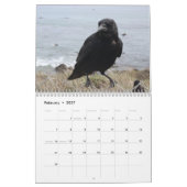 Krähen, Magpies und Ravens 2017 Kalender (Feb 2027)