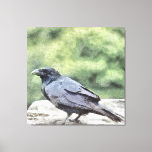 Krähen überall sind ebenso schwarze Aquarellkunst Leinwanddruck