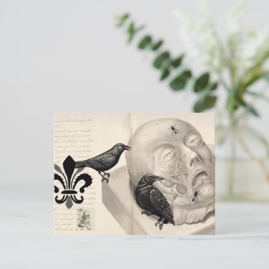 Krähen und Leichen Postkarte (Stehend Vorderseite)