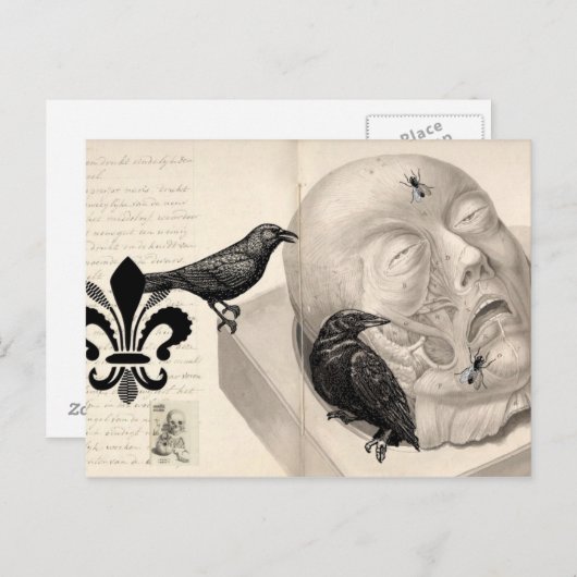 Krähen und Leichen Postkarte (Vorne/Hinten)