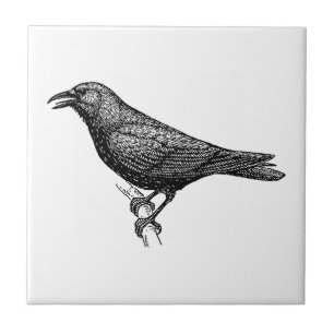 Krähen-Vogel-Kunst Fliese