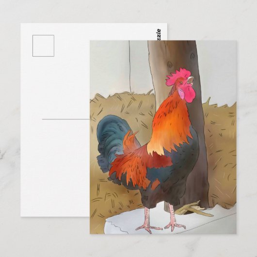 Krähender Hahn Postkarte (Vorne/Hinten)
