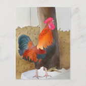 Krähender Hahn Postkarte (Vorderseite)