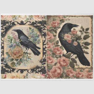 Krähengewebe Seidenpapier