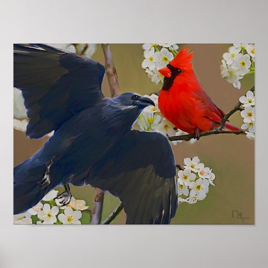 KrähenKardinal Poster (Vorne)