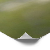 Krähenkrähen Vögel Vogelfedern Plakat (Ecke)