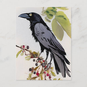Krähenkunstkarte Postkarte
