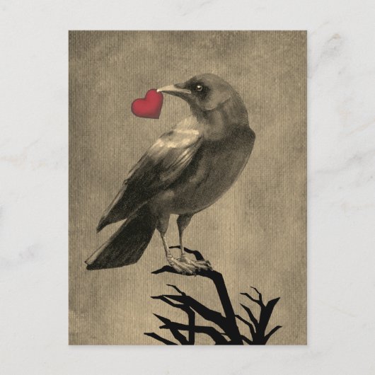 Krähenliebe Leere Postkarte (Vorderseite)