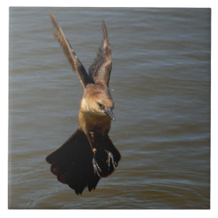 Krähenvögel Fliegen über Wasser Tile Fliese