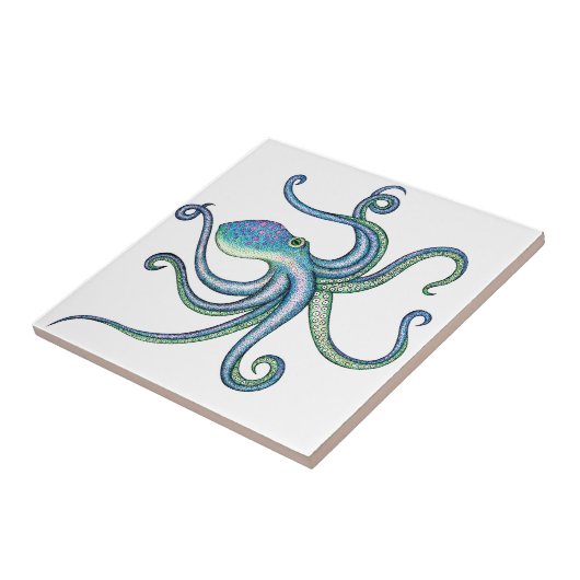 Krake Fliese (Seite)