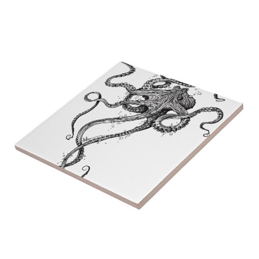 Krake Fliese (Seite)