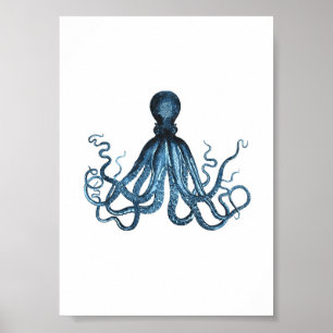 Krake kraken FischseeküstenAquarell Poster