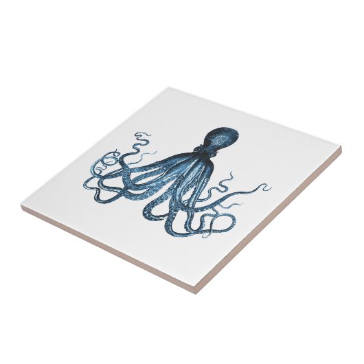 Krake kraken Seeküstenozeanstrandmeer Fliese (Seite)