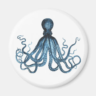 Krake kraken Seeküstenozeanstrandmeer Magnet