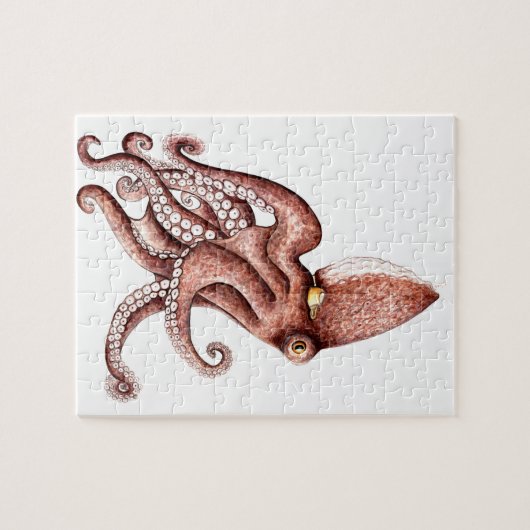 Krake - Octopus vulgaris Puzzle (Horizontal)