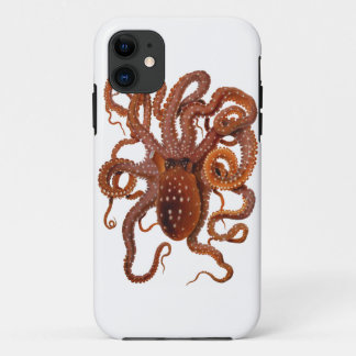 Krakemacropus-atlantische weiße gepunktete Krake iPhone 11 Hülle