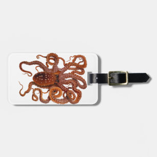 Krakemacropus-atlantische weiße gepunktete Krake Gepäckanhänger