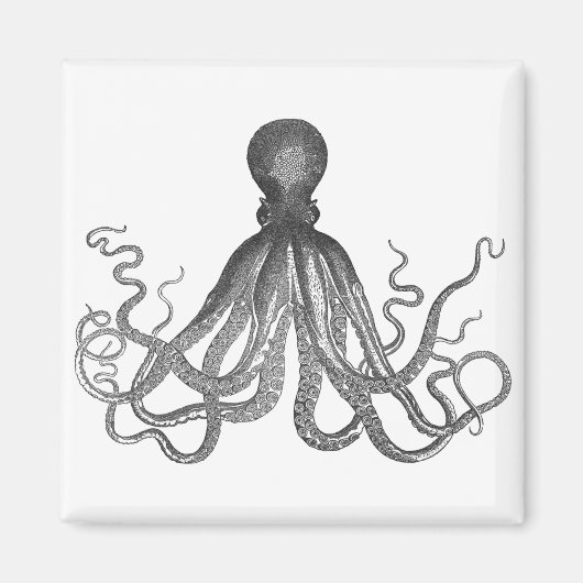 Kraken - Black Giant Octopus / Cthulu Magnet (Vorne)