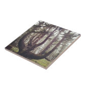 Kraken, Cape Meares, Oregon Fliese (Seite)