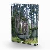 Kraken, Cape Meares, Oregon Fotoblock (Rechts)