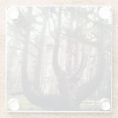 Kraken, Cape Meares, Oregon Glasuntersetzer (Rückseite)