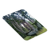 Kraken, Cape Meares, Oregon Magnet (Rechte Seite)