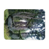 Kraken, Cape Meares, Oregon Magnet (Horizontal)