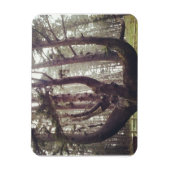 Kraken, Cape Meares, Oregon Magnet (Vertikal)