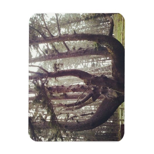 Kraken, Cape Meares, Oregon Magnet (Vertikal)