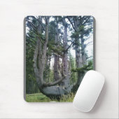Kraken, Cape Meares, Oregon Mousepad (Mit Mouse)