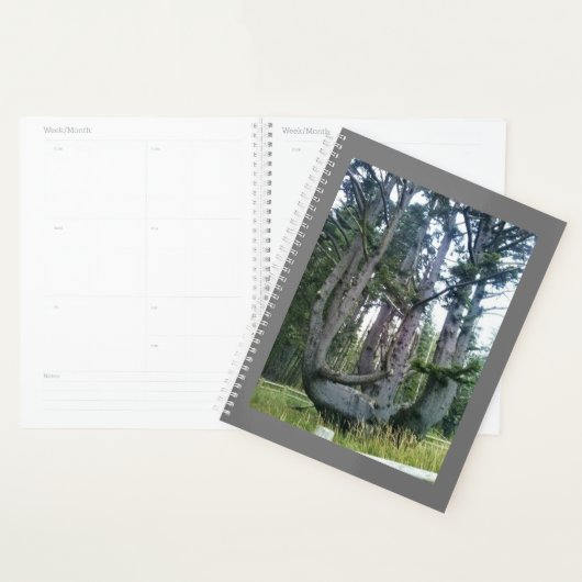 Kraken, Cape Meares, Oregon Planer (Anzeige)