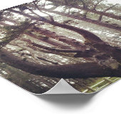 Kraken, Cape Meares, Oregon Poster (Ecke)