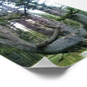 Kraken, Cape Meares, Oregon Poster (Ecke)