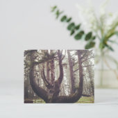 Kraken, Cape Meares, Oregon Postkarte (Stehend Vorderseite)