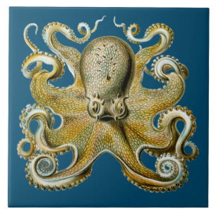 Kraken Fliese