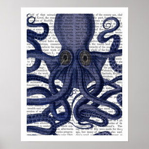 Kraken hoch Nah Poster