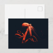 Kraken im Schatten Postkarte (Vorne/Hinten)