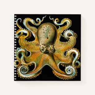 Kraken Octopus Cool Animal Notizblock