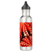 "Kraken-Rouge-" Edelstahl-Wasser-Flasche Trinkflasche (Rechts)