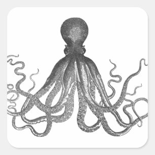 Kraken - Schwarzer Riesenoktopus / Cthulu Quadratischer Aufkleber