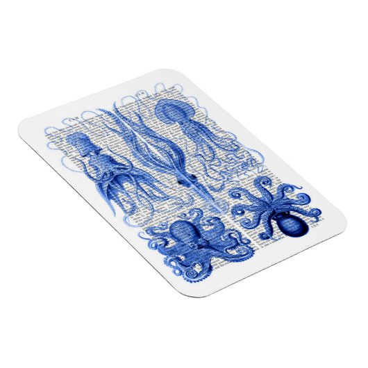 Kraken und Tintenfisch Blau Magnet (Rechte Seite)